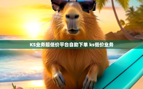 KS业务超低价平台自助下单 ks低价业务