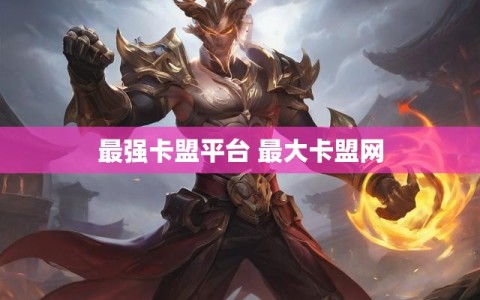 最强卡盟平台 最大卡盟网