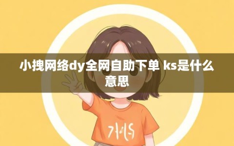 小拽网络dy全网自助下单 ks是什么意思