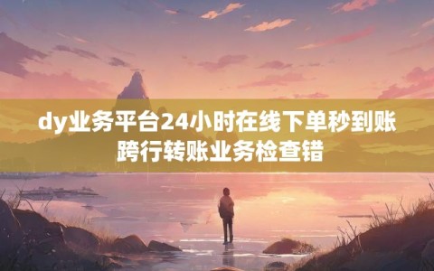 dy业务平台24小时在线下单秒到账 跨行转账业务检查错