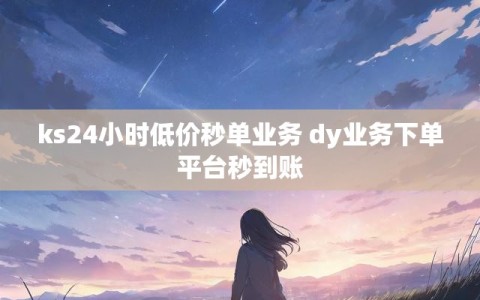 ks24小时低价秒单业务 dy业务下单平台秒到账