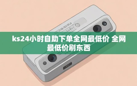 ks24小时自助下单全网最低价 全网最低价刷东西