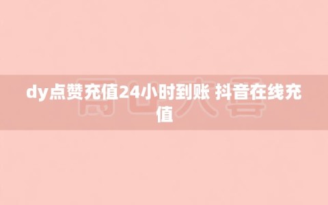 dy点赞充值24小时到账 抖音在线充值