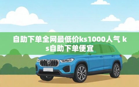 自助下单全网最低价ks1000人气 ks自助下单便宜