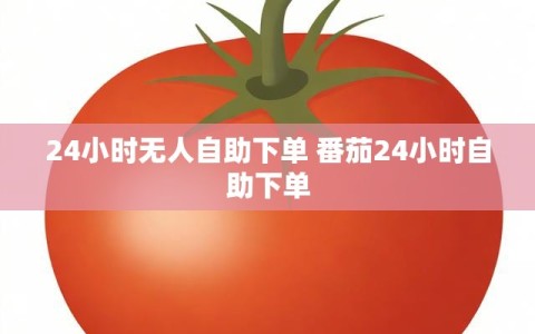 24小时无人自助下单 番茄24小时自助下单