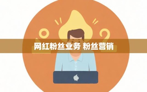 网红粉丝业务 粉丝营销