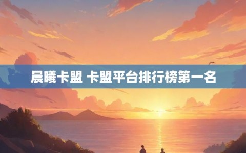 晨曦卡盟 卡盟平台排行榜第一名