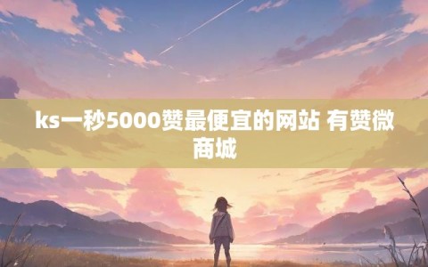 ks一秒5000赞最便宜的网站 有赞微商城