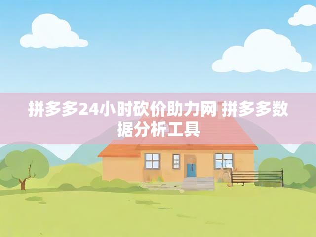 拼多多24小时砍价助力网 拼多多数据分析工具