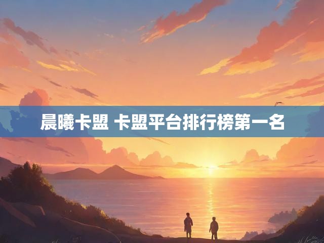 晨曦卡盟 卡盟平台排行榜第一名